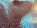 PINK FLOYD: Meddle (Harvest 1C 062-04 917 Stereo / FOC / NM)