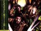 Jungle Brothers - Straight Out The Jungle Smoke Colored  (1988 - US - Reissue)