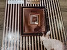 THE DAMNED - WHITE RABBIT - RARE COLLECTOR'S ITEM 12”  UK SINGLE