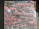 Sleep Token- Even In Arcadia Vinyl LP