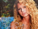 Taylor Swift Self Titled Double 12