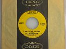Sly and The Family Stone / I Want To Take You Higher & Stand  / Epic 1969 45 NM+
