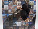 PINK FLOYD Best Of Pink Floyd A Foot In The Door Vinyl 2-LP Set 2016 180 Gram NM