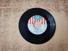 RARE 1960s VG Cherry Slush – Day Don't Come / Gotta Take It Easy 904 45