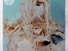 PALE SAINTS - In Ribbons - 2023 30th Reissue 2x12” Clear Vinyl Set - New/Sealed