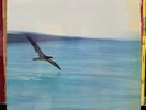 CHICK COREA - RETURN TO FOREVER (VINYL LP)  1972  RARE GERMAN IMPORT   ECM 1022