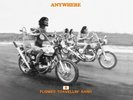 Flower Travellin' Band Anywhere (Vinyl)