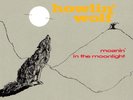 Howlin' Wolf Moanin' in the Moonlight (Vinyl) (UK IMPORT)