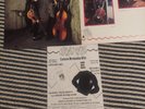 STRAY CATS S/T  LP 1981 Arista  STRAY1 UK  WITH HYPE STICKER MINT