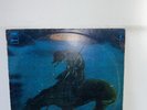 The Beach Boys Surf’s Up Vinyl Lp