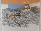 Vinyl LP - Man Man - The Man In A Blue Turban With A Face (RSD 2014)