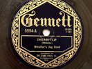 WHISTLER’S JUG BAND - ‘CHICAGO FLIP/ JERRY O’ MINE’ 1924 GENNETT 78 VERY RARE