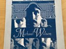 MICHAEL WILSON - IN THE SHADOWS LP Rare OG Private Press Psych Rock Folk