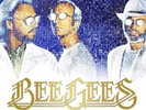 Bee Gees Timeless (The All-Time Greatest Hits) - LP 33T