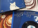 Stevie Wonder Unique - Songs In The Key Of Life  - annie nightingale’s copy/kit