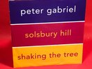 PETER GABRIEL Solsbury Hill 1986 UK 7