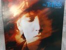 The Triffids 