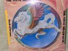 STEVE MILLER BAND ‎Book Of Dreams 1978 Vinyl Record Picture Disc