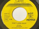 HOT PEPPER Don’t Look Back / Melanie (Love At First Bite) RARE 1979 7” Single