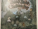 The Beach Boys “Smiley Smile” Green Label Vinyl LP Re-issue 1980 Mono Record -EX
