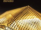 Various Artists Late Night Tales: Bonobo (Vinyl) 12