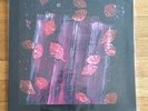 Planning For Burial - Leaving (Vinyl Double LP) Shoegaze Have A Nice Life NEW