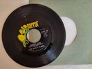 45 RECORD The Daily Flash – Queen Jane Approximately