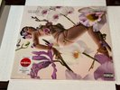 Kali Uchis- Orquídeas -LP  2024 Geffen Limited Clear Vinyl Sealed