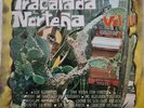 LOS SALVAJES DE LA FRONTERA 
