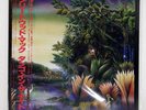 FLEETWOOD MAC TANGO IN THE NIGHT WARNER BROS. P13490 Japan OBI INSERT VINYL LP