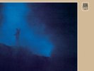 Antonio Carlos Jobim: Tide (Limited Edition) (Vinyl) NEW- Stock