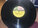 Jimi Hendrix Experience Are You Experienced?  MONO 1st Issue Reprise RECORD ONLY