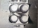 Satin Whale-Desert Places German prog lp reissue brand new Missing Vinyl