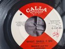 ***FRANKIE AND THE CLASSICALS   WHAT SHALL I DO***VG++ 