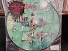 [NEW] Motley Crue - LIMITED Dr. Feelgood 35th Anniversary Picture Disc Vinyl LP