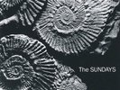 The Sundays - Reading, Writing, And Arithmetic [New Vinyl LP] Colored Vinyl, Sil