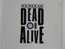 DEAD OR ALIVE YOUTHQUAKE EPIC 303P670 Japan INSERT PICTURE DISC VINYL LP