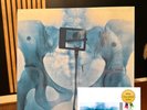 SHIPS NOW SIGNED Lorde VIRGIN GATEFOLD X-Ray Picture Disc Vinyl LP