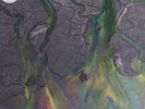 Alt-J - An Awesome Wave LP 2012 Infectious NM/NM