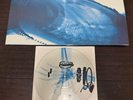 Lorde VIRGIN GATEFOLD X-Ray Picture Disc Vinyl LP AUTOGRAPHED SIGNED **IN HAND**