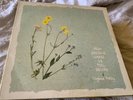 Virginia Astley, From Gardens Where We Feel Secure vinyl LP, 1983