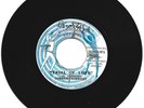 DERRICK HARRIOTT / TRIAL OF LOVE / DAY BY DAY / 7''
