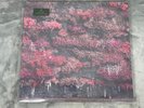 SLEEP TOKEN - EVEN IN ARCADIA - HOUSE VERIDIAN Green Vinyl 2LP
