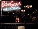 Bee Gees - Mr. Natural (LP, Album)