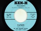 Teen/Rock & Roll 45 - Golden Echos - Sandy - Ken-H - VG+ obscure