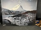 True North by Borknagar (Record, 2019) Brand New Sealed W/HYPE