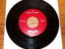 Rare 1967 Fuzz Guitar Garage Girl Group The Chimes of Freedom- Jungle Rock 45 NM