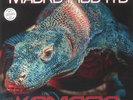 PICOTTO, Mauro - Komodo - Vinyl (coloured vinyl 12