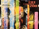 The Tangerine Zoo - Outside Looking In (VINYL) - ROCK / USED *NEAR MINT*