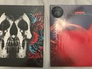 Vinyl Records Deftones, Cocteau Twins, And Duster